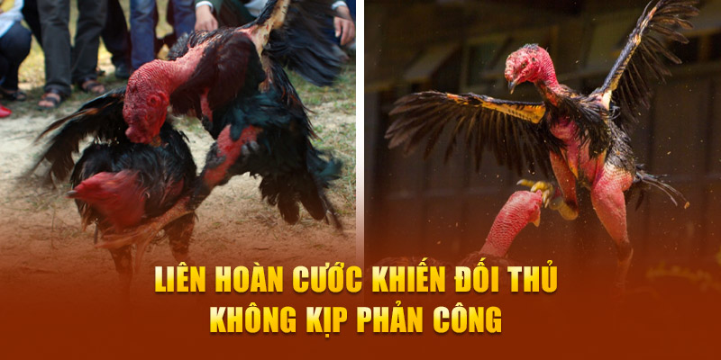 Liên hoàn cước khiến đối thủ không kịp phản công 